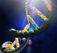  Moleküler Biyoloji Araştırma Ürünleri