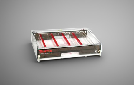  Yatay Jel Elektroforez Sistemleri